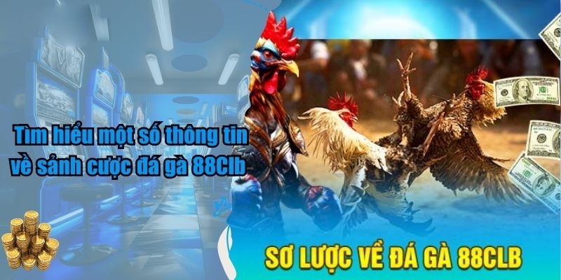 Khám phá về sản phẩm đá gà 88CLB cực kỳ đình đám